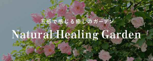 五感で感じる癒しの ガーデン｜Natural Healing Garden