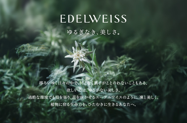 移ろいゆく日々の中で、何となく調子がととのわないこともある。欲しいのは、ゆるがない美しさ。過酷な環境でも根を張り、花を咲かせるエーデルワイスのように、凛と美しく。植物に宿る生命力を、ひたむきに生きるあなたへ。