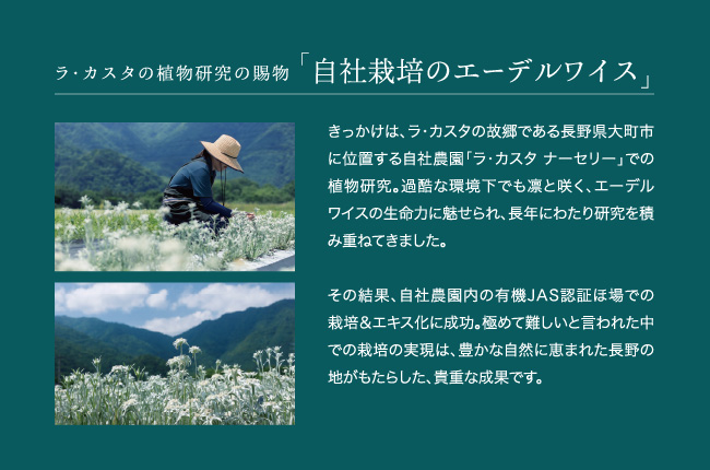 ラ・カスタの植物研究の賜物「自社栽培のエーデルワイス」