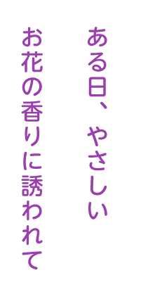 ある日、やさしいお花の香りに誘われて