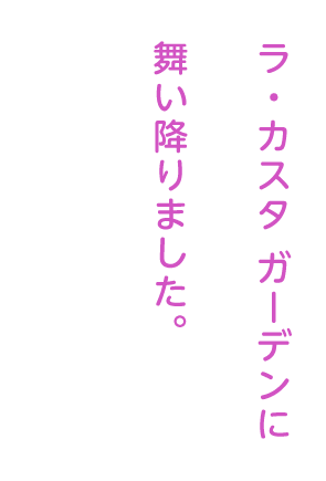 ラ・カスタ ガーデンに舞い降りました。