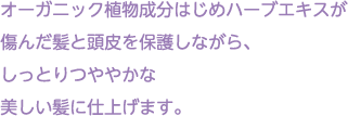 オーガニック植物成分はじめハーブエキスが傷んだ髪と頭皮を保護しながら、しっとりつややかな美しい髪に仕上げます。